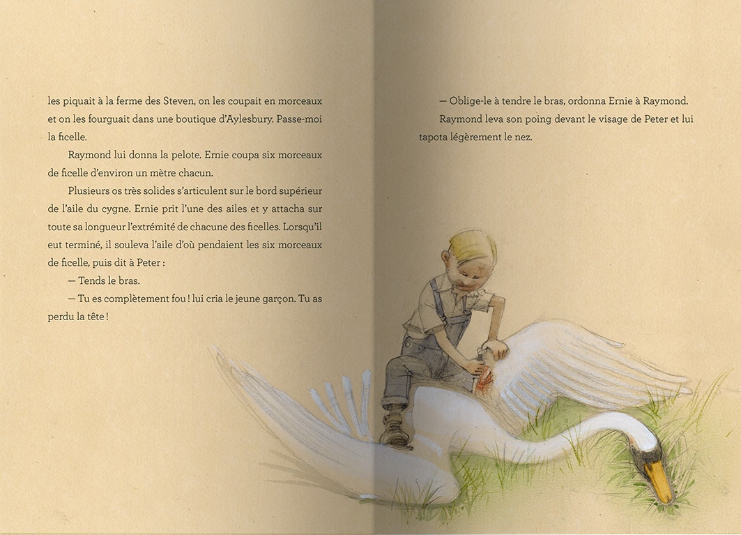 Page intérieure du livre Le cygne
